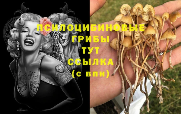 кокс Зеленодольск