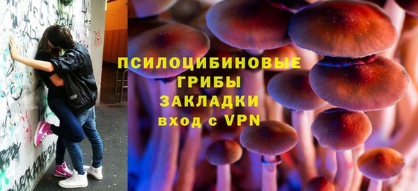 трава Зерноград