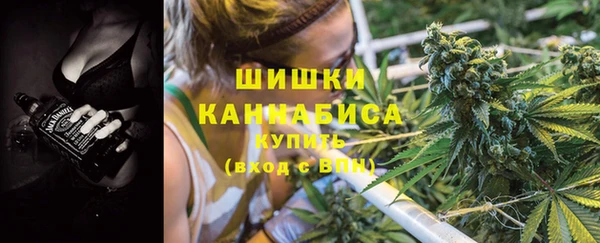 прущие крисы Заводоуковск